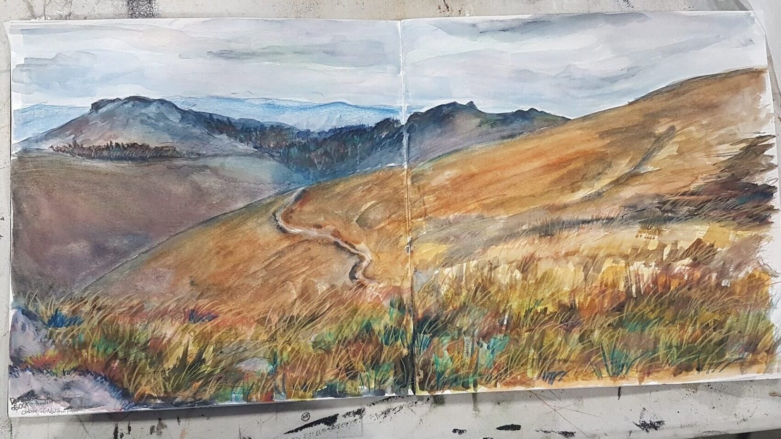 whatsapp image 2025 01 08 at 11.29.40 59fda5d0